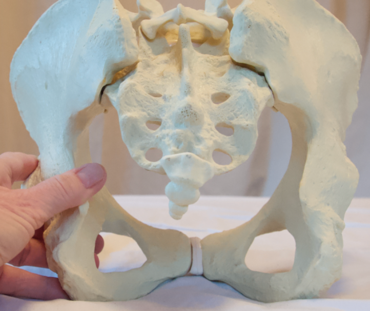 posterior-pelvic-pain